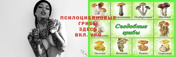 jwh Абаза