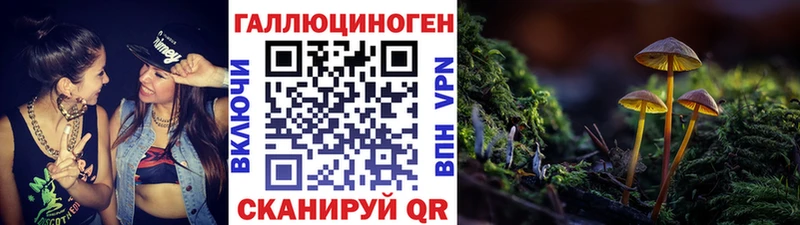Галлюциногенные грибы Magic Shrooms  Новочеркасск 