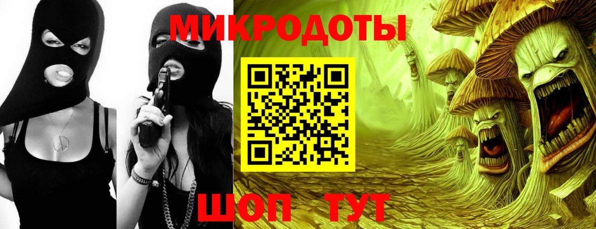Псилоцибиновые грибы мицелий Новочеркасск