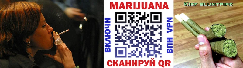 закладка  Новочеркасск  Бошки Шишки план 