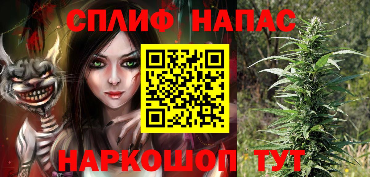 Бошки марихуана VHQ  Марихуана планчик  Шишки марихуана сатива  Новочеркасск  Вход с VPN  МАРИХУАНА White Widow 